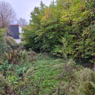 Maison de ville à rénover