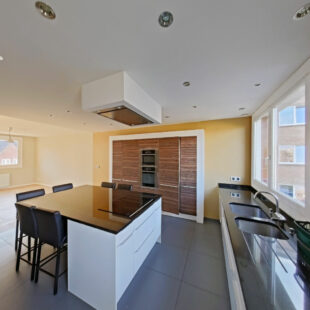 Appartement  4 pièce(s) 135 m2