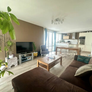 Appartement Wasquehal 3 pièce(s)