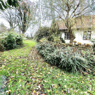 Terrain constructible