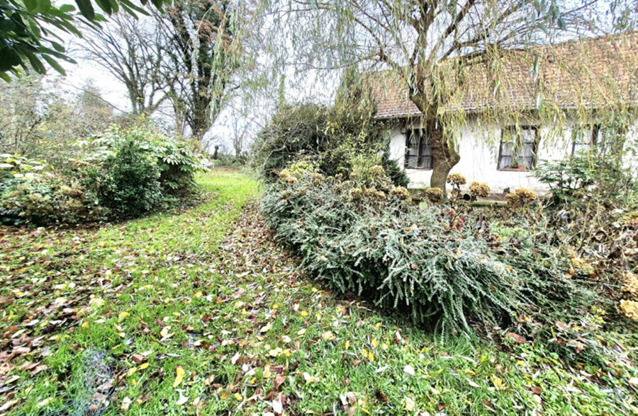 Terrain constructible
