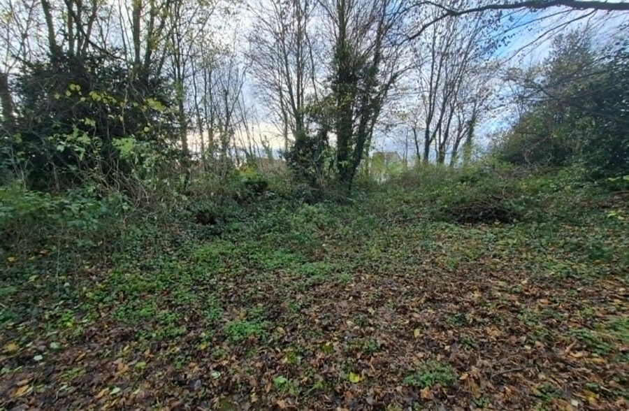 Terrain constructible
