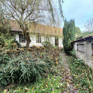 Terrain constructible