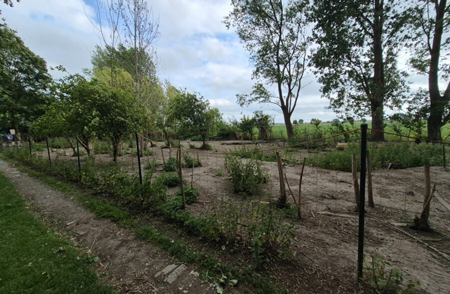Terrain d’agrément Looberghe