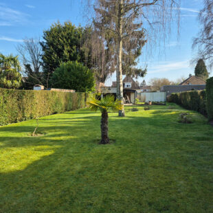 Maison Tourcoing 4 pièce(s) 120 m2