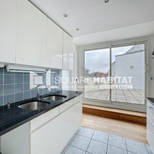 CHARMANT APPARTEMENT T3 AVEC CHEMINÉE ET VERANDA – RONCHIN – GRANDE TERRASSE – GARAGE EN SOUS SOL – CAVE