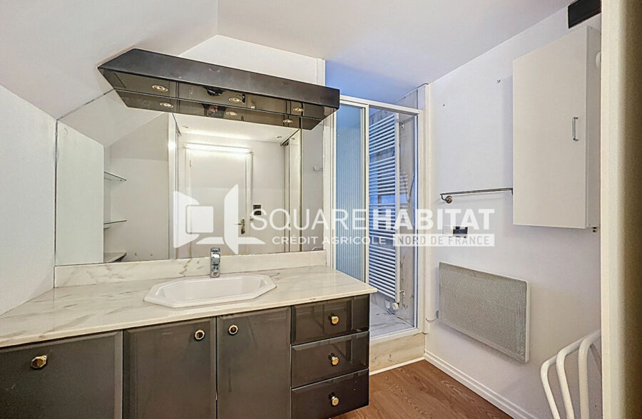 CHARMANT APPARTEMENT T3 AVEC CHEMINÉE ET VERANDA – RONCHIN – GRANDE TERRASSE – GARAGE EN SOUS SOL – CAVE