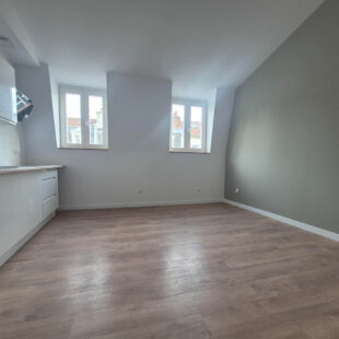 LILLE rue des stations: Appartement T3 rénové