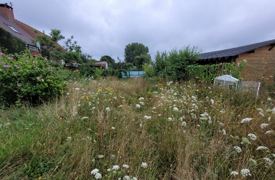Maison semi individuelle Raismes 4 pièce(s) 100 m2