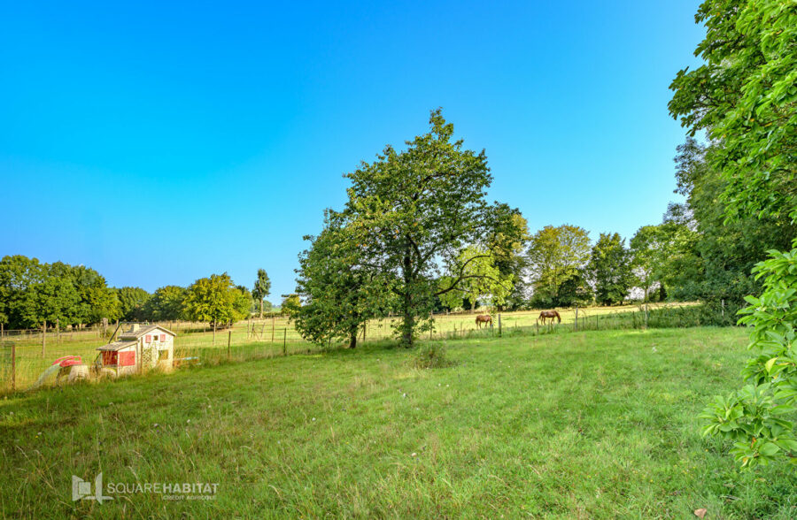 Maison individuelle semi plain pied