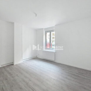 MAISON REFAITE A NEUF 4 CHAMBRES ET EXTERIEUR