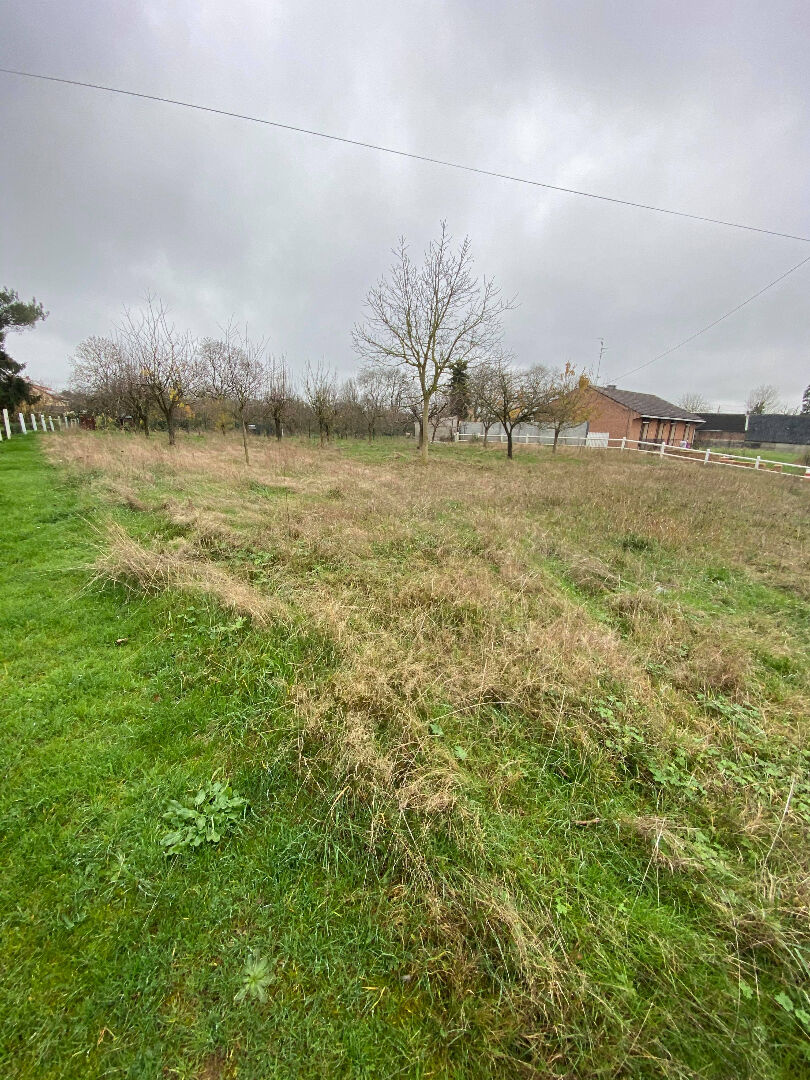 Terrain constructible