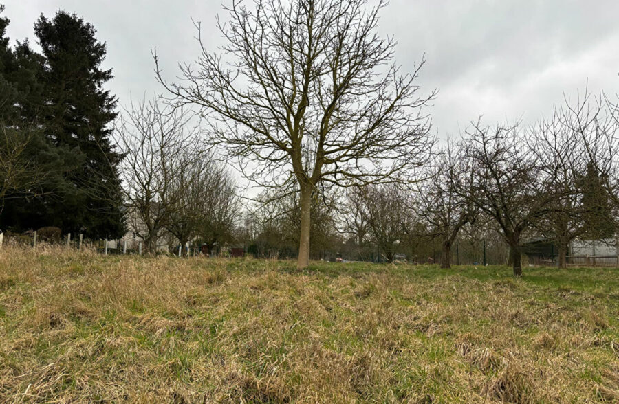 Terrain constructible